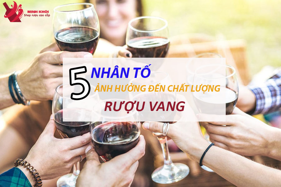 5-nhan-to-gay-anh-huong-den-chat-luong-ruou-vang