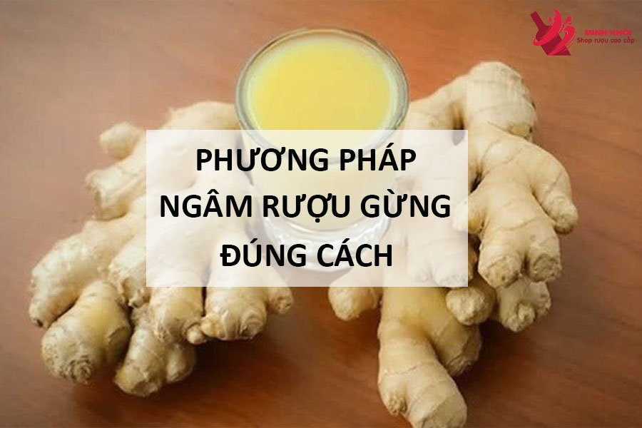 phuong-phap-ngam-ruou-gung-dung-cach